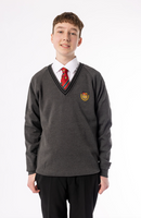 Boys Model V Neck Jumper